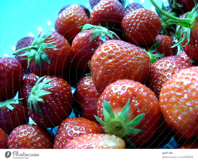 Strawberries for all Food Fruit Nutrition Healthy Natural Red To enjoy Infancy Nature Strawberry Berries Colour photo Multicoloured Close-up Day Light Contrast