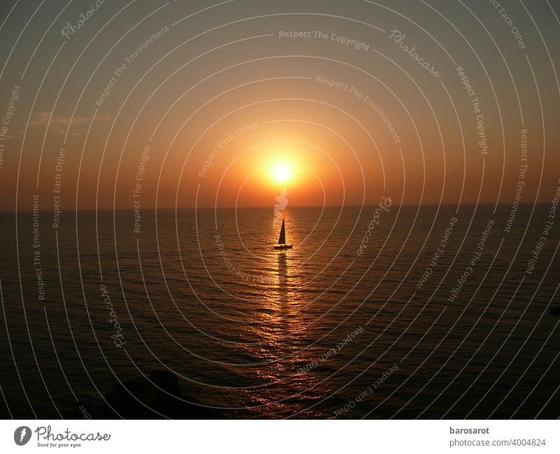 Sailing into the sunset Sunset Ocean holidays Meditation no filter Light Summer Freedom