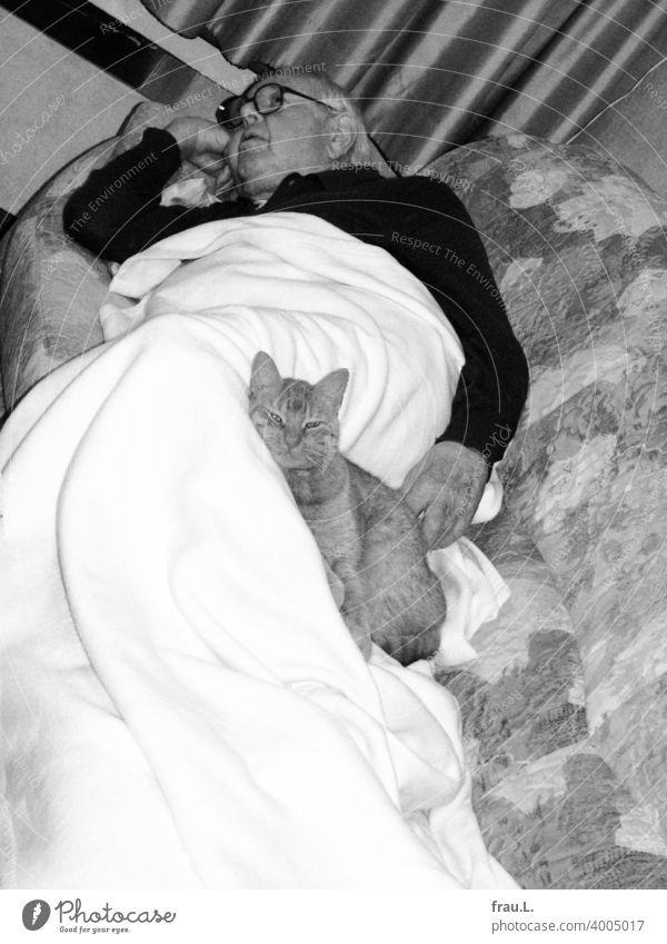 An old man and his cat Cat Animal Pet Animal portrait Pelt mackerelled pets Sofa Evening sofa bedspread Friends Caress Cuddling Love