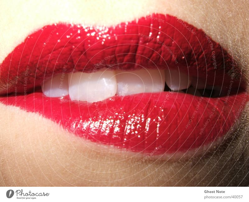 KISS ME, BITE ME! Lips Feminine Woman Kissing Red Lipstick Mouth Teeth