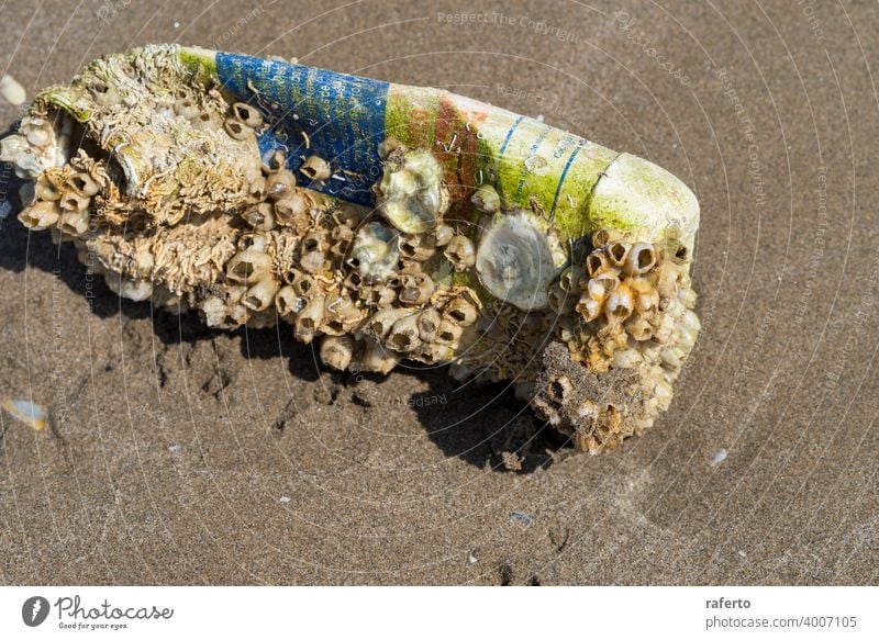 Old dirty plastic bottle overgrown with seashells on a sandy beach after storm. Technogenic pollution of the world ocean. water ecology garbage environment