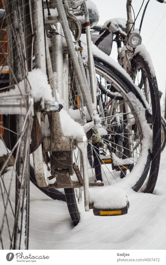 Bicycles in the snow Transport Sports Street Cycling Winter Snow Exterior shot Means of transport Traffic infrastructure Lanes & trails Mobility Town Movement