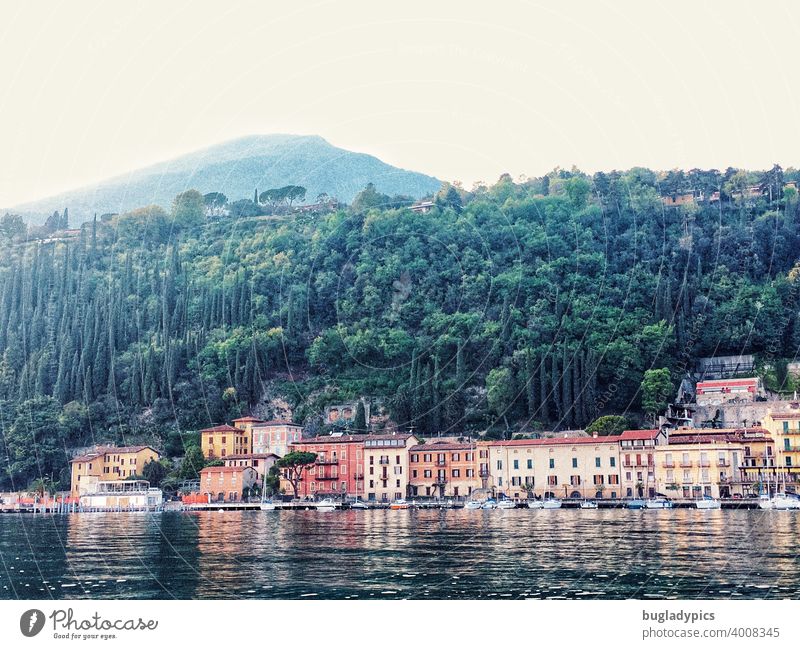 Italia - Lake Garda houses colorful houses variegated Lakeside Town Building Forest Mountain Slope Hill trees boats Landscape Vacation & Travel hazy hazy sky