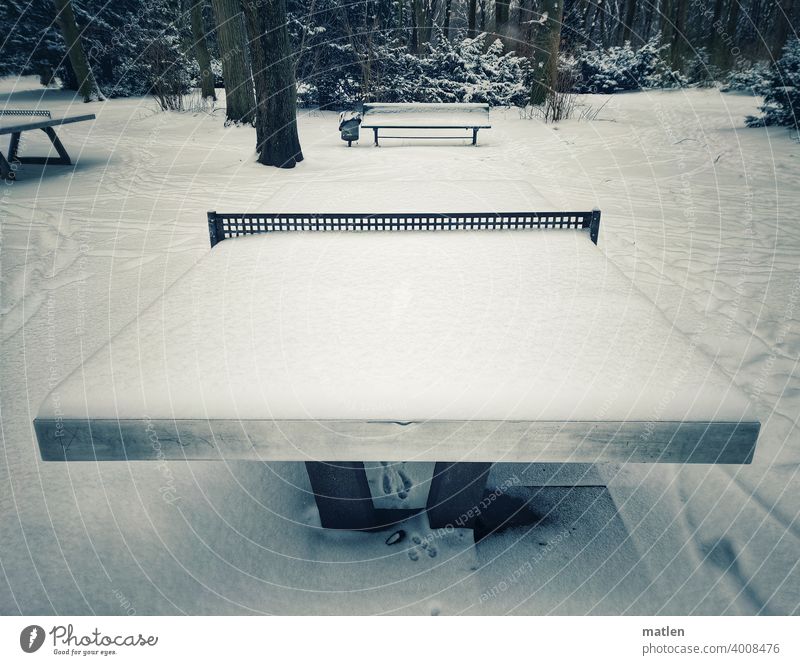 final Winter Snow Table tennis Table tennis table snowy Bench Tree Exterior shot Sports Deserted Sporting Complex Net