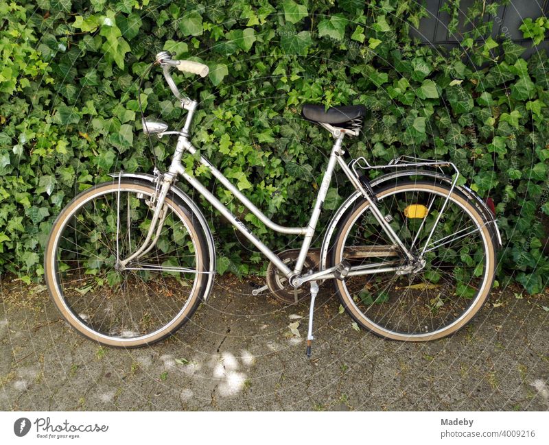 Old ladies bike in summer in front of a green hedge on grey compound pavement in Oerlinghausen near Bielefeld in the Teutoburg Forest in East Westphalia-Lippe