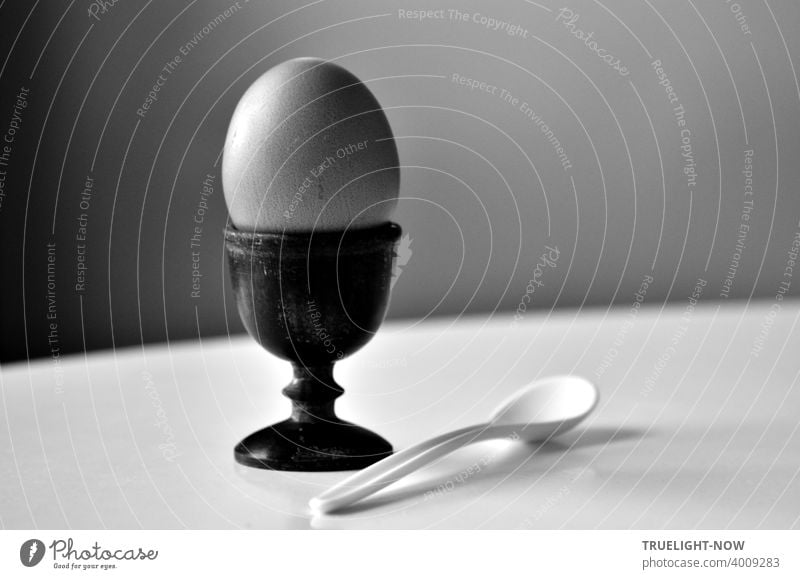 Unhealthy | ...or healthy? The thick organic breakfast egg rests in its naturally beautiful perfection serenely in a wooden egg cup next to the white egg spoon on white table in front of gray, perhaps a breakfast meditation?