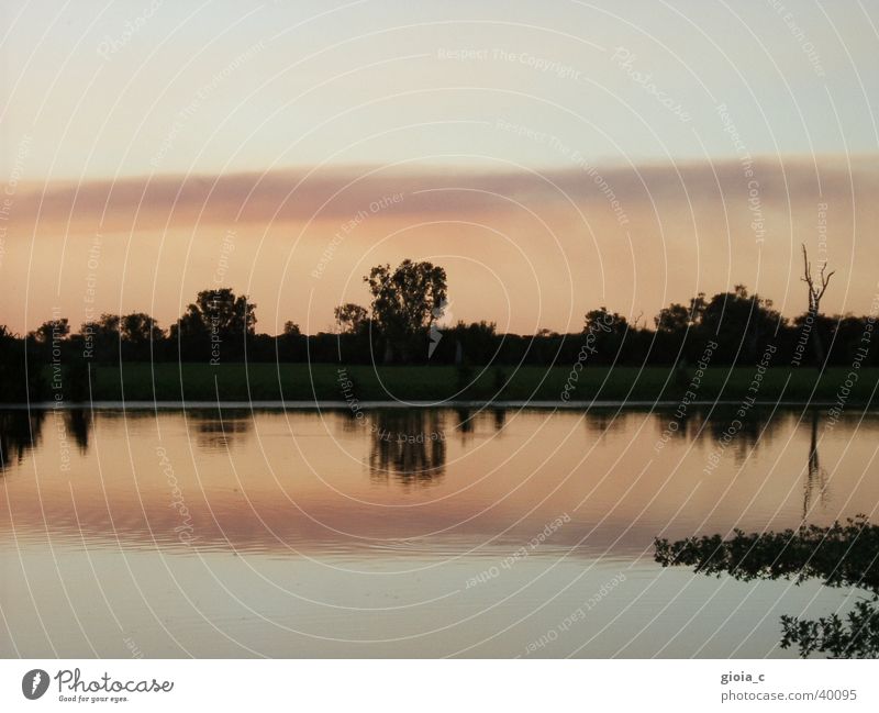 Untitled Pink Tree Lake Australia Reflection Sunset Peace Water River