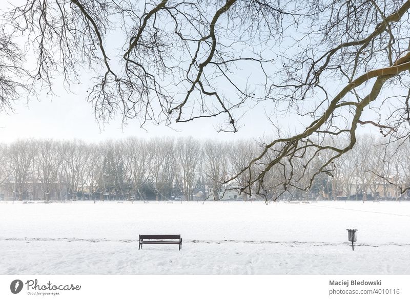 Jan Kasprowicz Park in winter, Szczecin, Poland. park bench white snow cold nobody empty solitude tree
