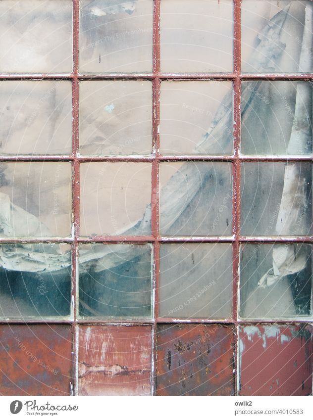 Old elegance Window Past Transience Exterior shot Abstract Deserted Detail Colour photo Subdued colour Decline Trashy Grating Drape Cloth Pattern