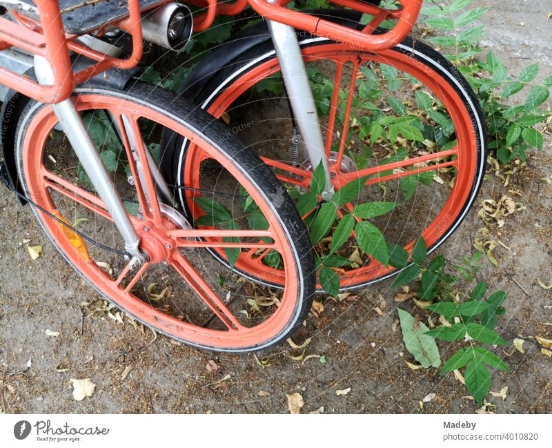 Modern red carbon rims of an e-bike on the roadside with wildly growing weeds in the district of Prenzlauer Berg in the capital Berlin bicycle Wheel Wheel rim