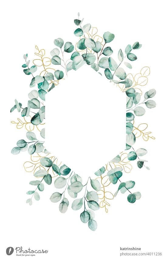 Watercolor eucaliptus leaves set illustration watercolor branch wreath frame Drawing green geometric golden paper Botanical Leaf exotic Hand drawn copy space