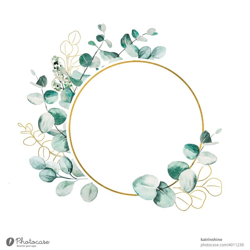 Watercolor eucaliptus leaves set illustration watercolor branch wreath frame Drawing green geometric round circle golden copy space paper Botanical Leaf exotic