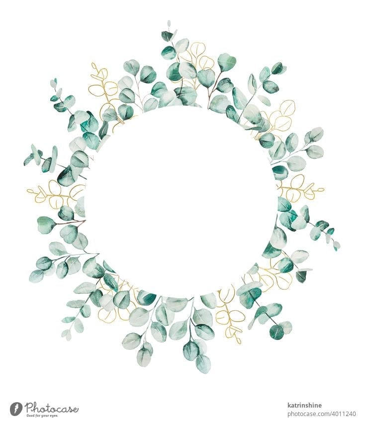 Watercolor eucaliptus leaves set illustration watercolor branch wreath frame Drawing green geometric round circle copy space golden paper Botanical Leaf exotic