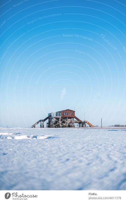 St. Peter-Ording pile dwellings in winter sanct peter-ording Winter coast North Sea Snow Ice Cold Beach Exterior shot Ocean Sky Far-off places Landscape