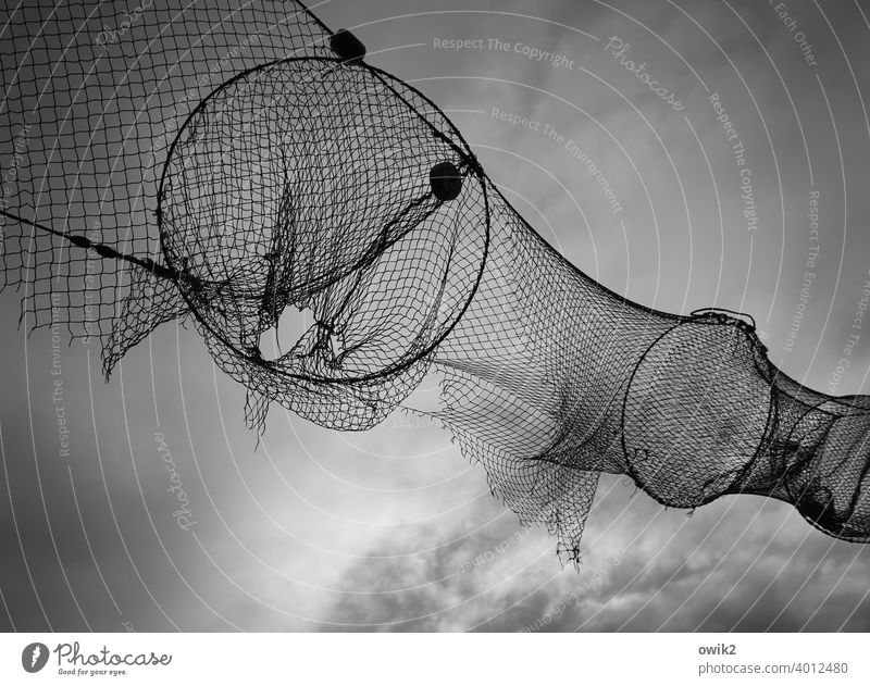 Incomplete Fish trap Net Fishing net Fishery Detail Flexible Tradition Reticular Transparent Silhouette Maritime Work and employment Network Copy Space top