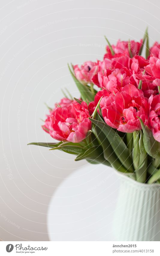 A bouquet of pink tulips in a light turquoise vase Vase Bouquet Tulip Flower Colour photo Interior shot Spring Blossom Blossoming Decoration Deserted Green Pink