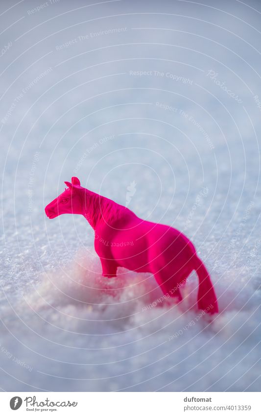Pink toy horse in the snow neon pink Horse Eraser Snow Animal Toys out Covered Snowscape Snow layer Winter by oneself Cold White Nature Exterior shot Neon