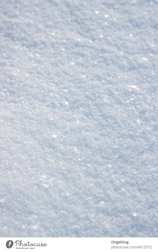 Glittering snow Snow snowflakes Snow crystal Crystal Weather Winter Ground Surface a lot White Nature magical glitter glittering Close-up background Copy Space