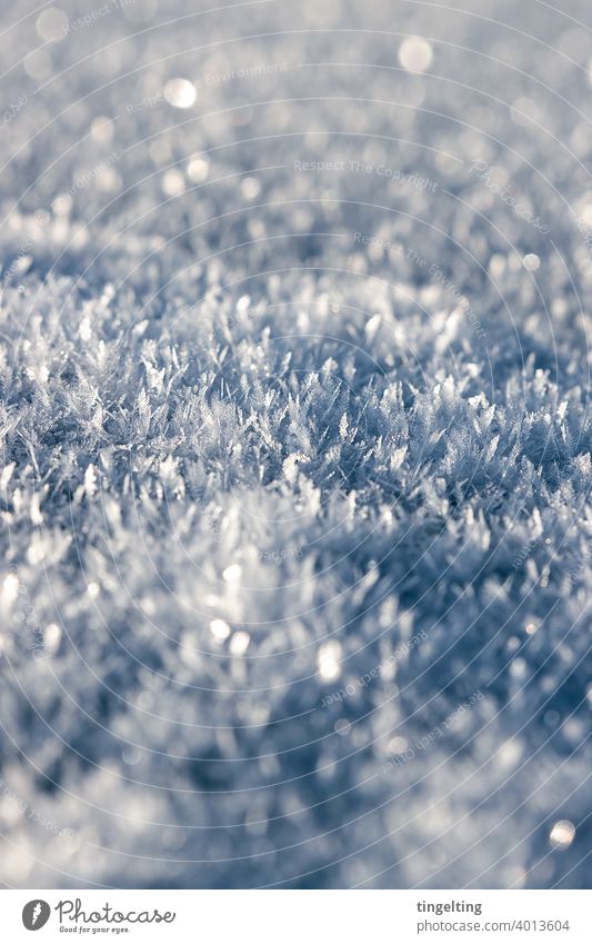ice crystals Snow snowflakes Snow crystal Crystal Weather Winter Ground Surface a lot White Nature magical glitter glittering Close-up background Copy Space Ice