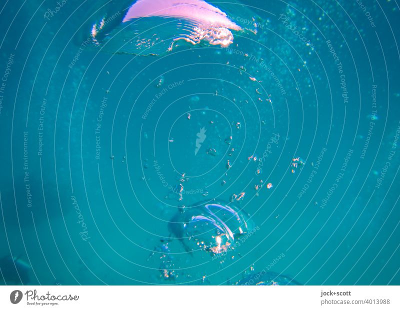 Air bubbles in the bluish water Pacific Ocean Warmth Sea water blurriness Australia Underwater photo sea from below upstairs Turquoise reflection underwater