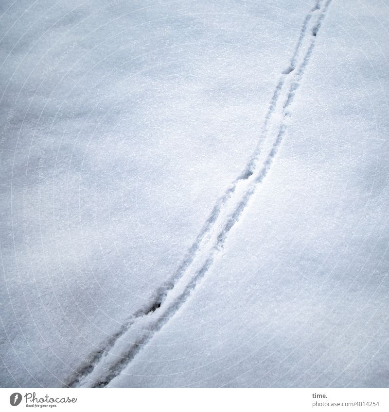 Lifelines #143 Snow trace Imprint Diagonal Parallel Bird's-eye view