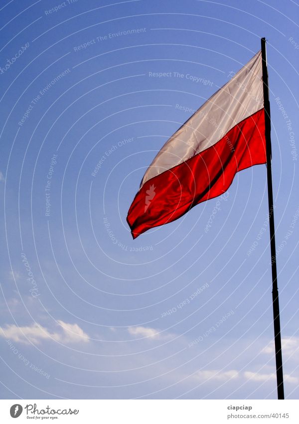 Poland Flag Exhibition Trade fair flags poland