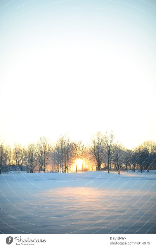 Sunrise in a winter landscape Winter's day Winter mood Snow Cold Wintertime beginning of winter White Weather Sunbeam