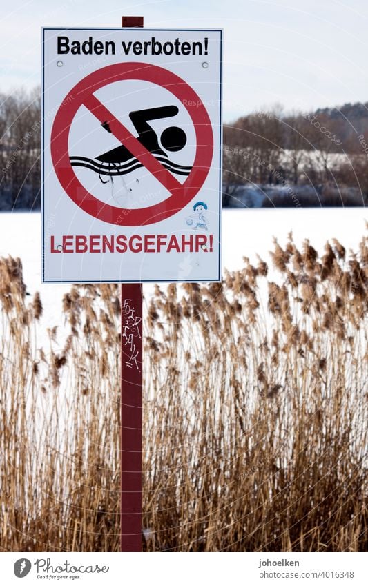 Sign "Bathing forbidden" in front of frozen lake Swimming & Bathing Prohibition sign Danger of Life Common Reed Lake Winter bathing prohibition Non-swimmer Snow