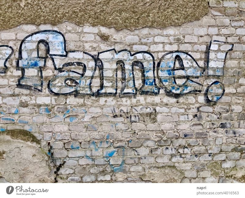 fame! | graffiti on light brick wall glorious Graffiti Word Wall (barrier) Youth culture Text Wall (building) Desire Target Trashy famous Success successful