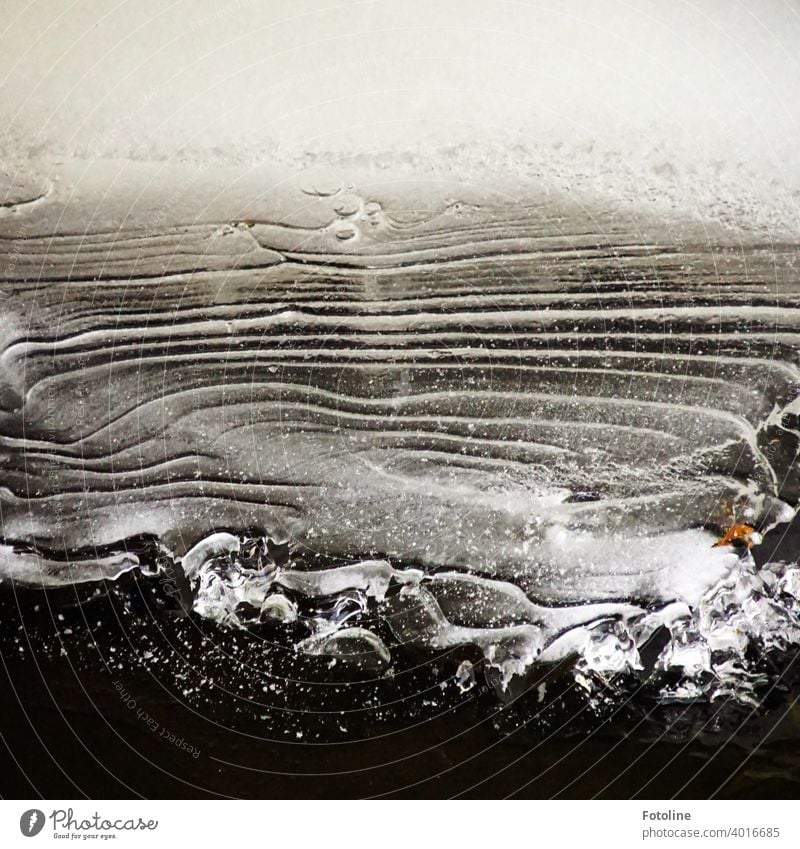 This beautiful wavy pattern was created by frost on a stream Structures and shapes Pattern Undulating Ice Water Brook Nature Deserted Detail Abstract