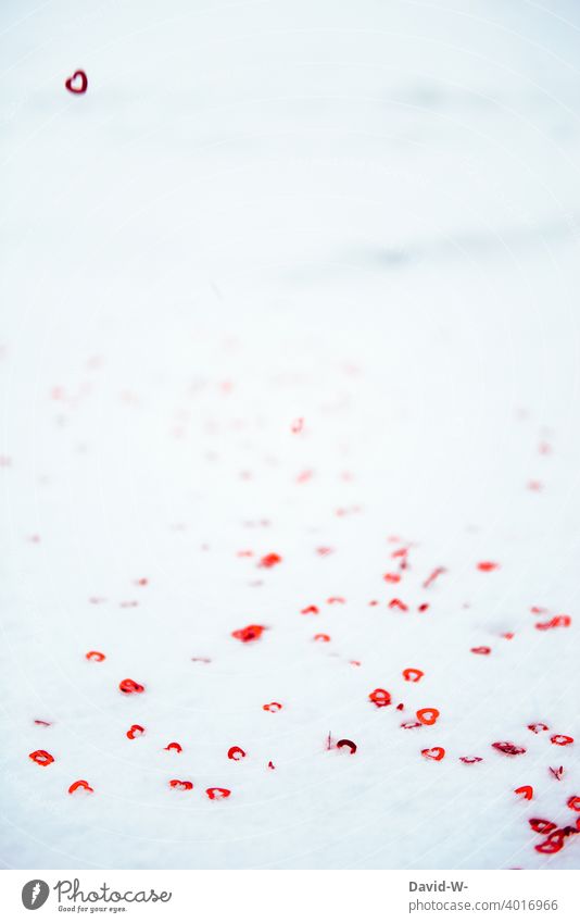 Hearts in snow - love for winter cuddle Love Snow Winter In love sweetheart Valentine's Day Romance Infatuation Red