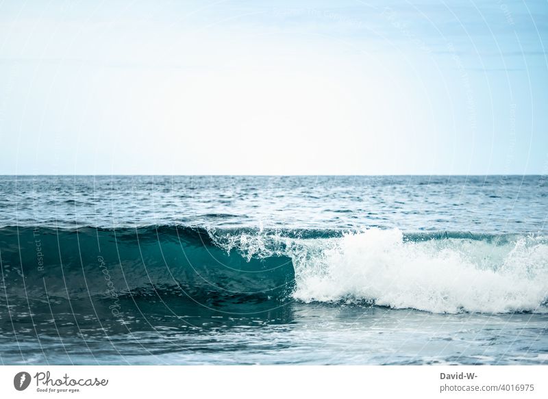 Development of a wave in the sea ocean Ocean Blue Force Water Waves vacation Nature Sky