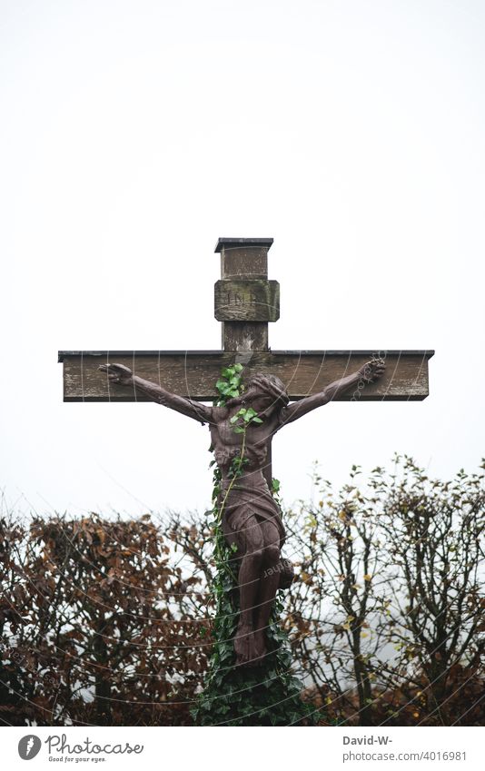 Jesus on the cross overgrown by a plant - forgotten Religion and faith Past Archaic oblivion Crucifix God unbelieving Derelict Church out of time Transience Old