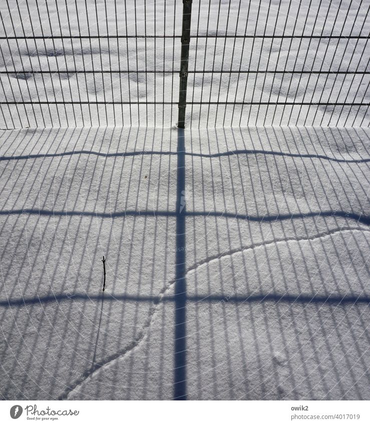 A question of calculation Snow Snow layer Fence Grating Metal Boundary Boundary line Barrier Sunlight Shadow Complex parallels Curve trace Animal Trace