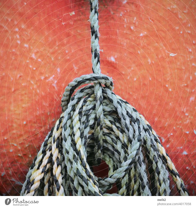 entanglements Rope Simple Abstract Patient Calm Break Colour photo Exterior shot Detail Firm Maritime Baltic Sea Leisure and hobbies Suspended detail boat