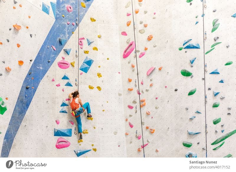 Woman rock climbing indoors. woman climber back view unrecognizable wall gym young training sport leisure active safety extreme person girl equipment mountain