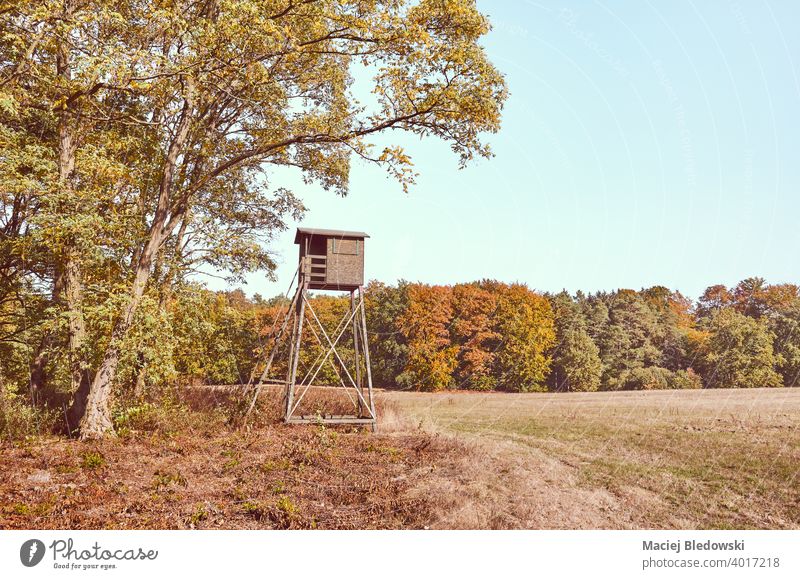 Hunting tower in autumn, color toning applied. hunting nature season fall forest field stand vintage bright foliage colorful tree filtered toned effect woods