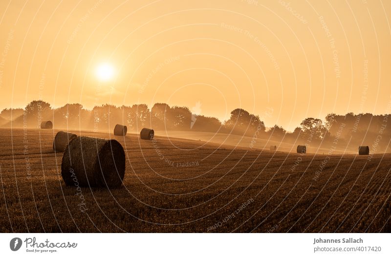 The straw and the sun Sun Sunrise Bale of straw Straw Field Moody Ambience Agriculture Sky Hay bale Summer Exterior shot Deserted Landscape Light
