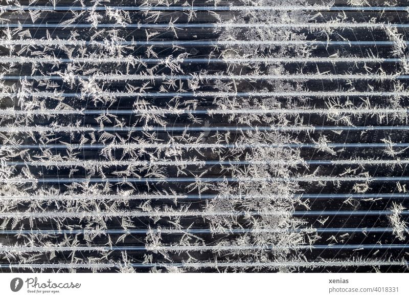 Ice structures on transparent plastic with lines Frostwork Cold Winter Ice Flowers Frozen Crystal structure Freeze Pattern chill Slice Black White Ice crystal