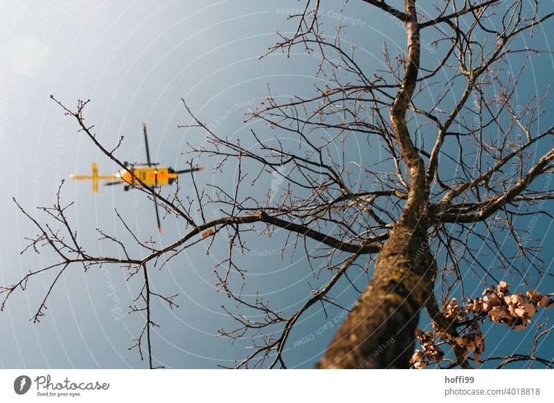 Helicopter and tree - the rescue comes Rescue helicopter Tree bare trees Emergency emergency alarm Flying Winter Blue Environment Aviation Sky Exterior shot