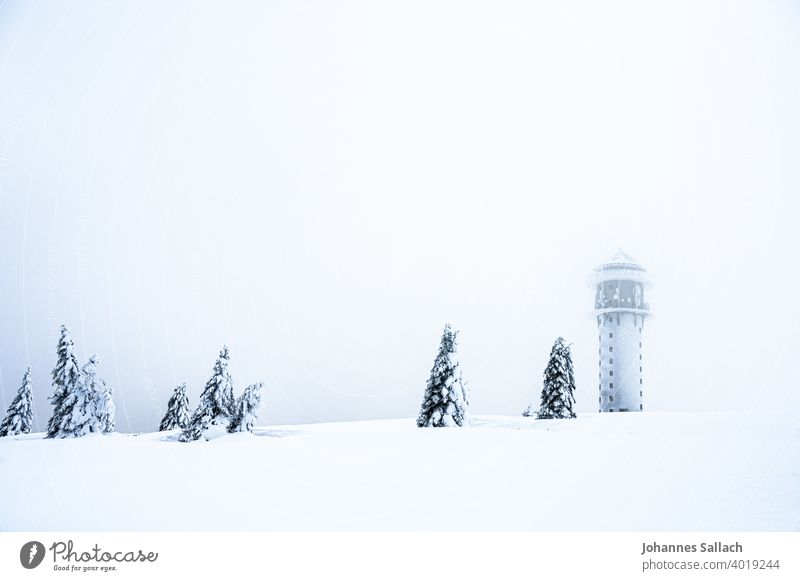winter landscape Winter Black Forest mountain Feldberg tower Snow Tree Tower Lonely Minimalistic Europe Loneliness Winter mood Frost Snow layer Landscape Cold