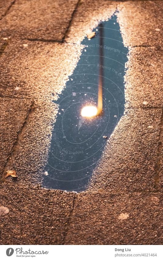 Frankfurt am Main, street, water, lamp and reflection winter Reflection Germany stone night light leaf