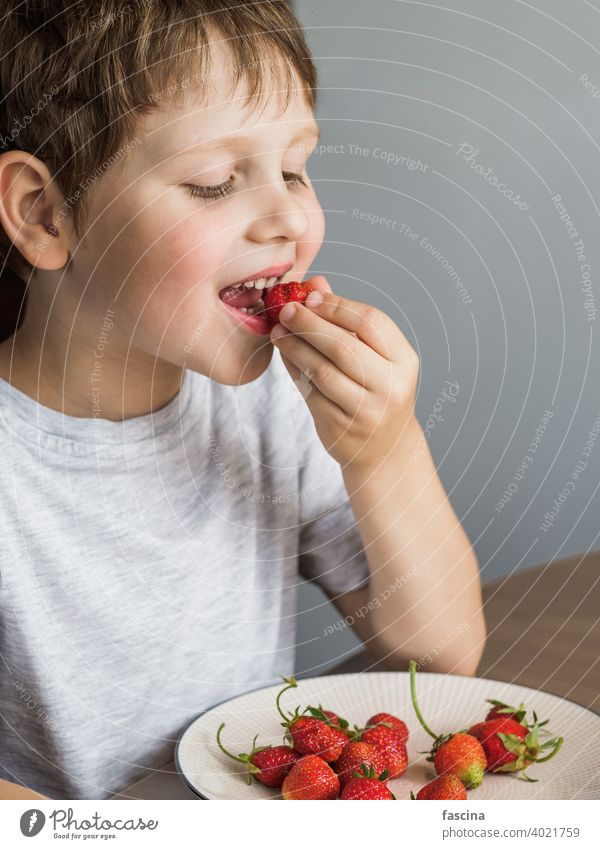 Little boy eats fresh organic strawberry with relish kid child happy smile blank board message paper sheet space white hold person caucasian beautiful young