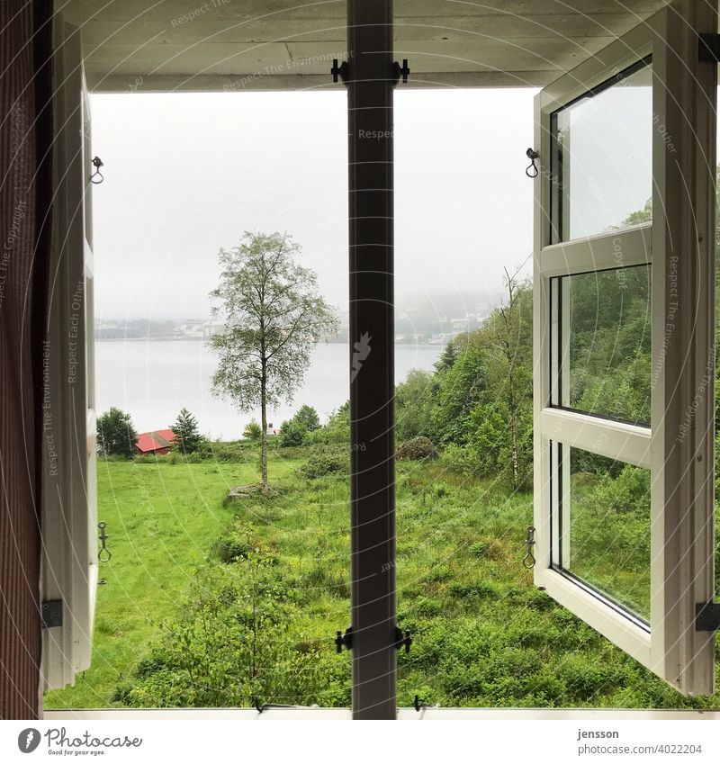 View from the window to the fjord Wanderlust Longing Nature Norway Window outlook Lattice window View from a window Looking Vacation & Travel Deserted Day