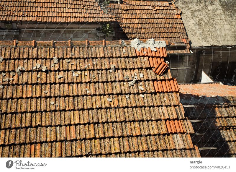 Roofs with tiles is repaired Roofing tile Gable Tiled roof House (Residential Structure) Exterior shot Building Red Deserted Colour photo Historic