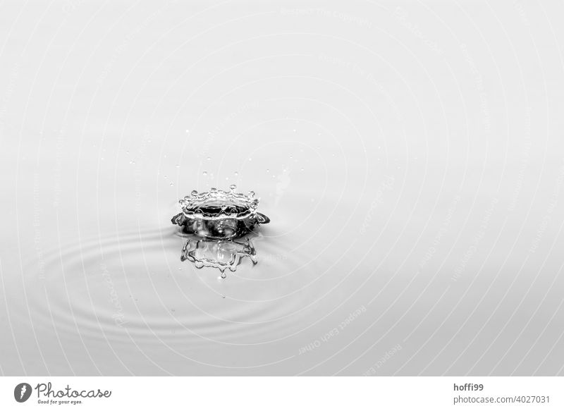 Water tropics fall and create figures Drops of water Abstract Rain Surface of water Detail droplet drop formation drop picture Liquid To fall Glittering Cold