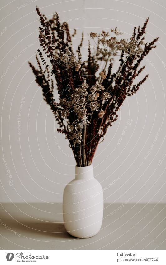 Brown wild dried flower in ceramic vase closeup on grey background bouquet white isolated spring flowers nature decoration blossom floral green beautiful beauty