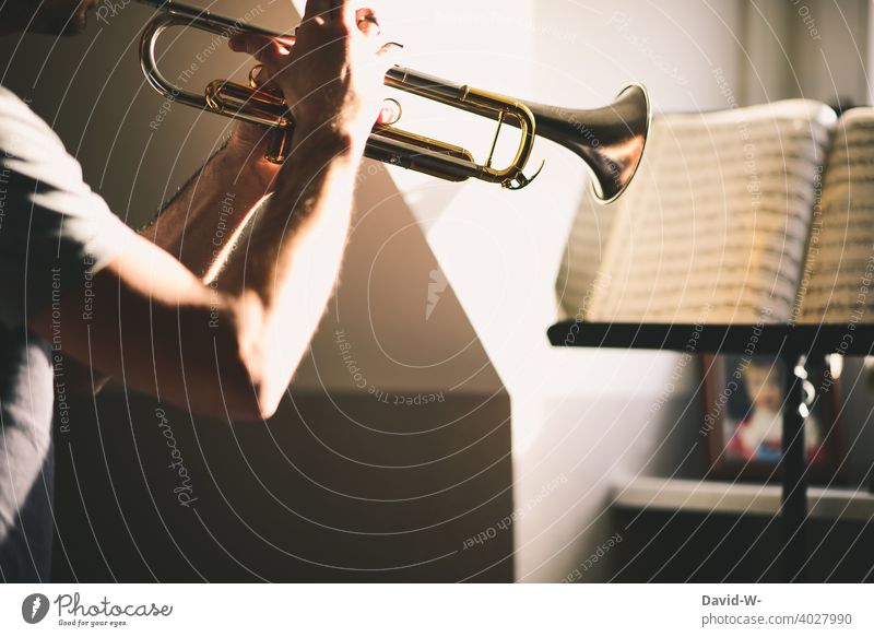 Man studying his instrument and playing notes from music stand Musician Trumpet Musical instrument Ambitious Practice Study Further training