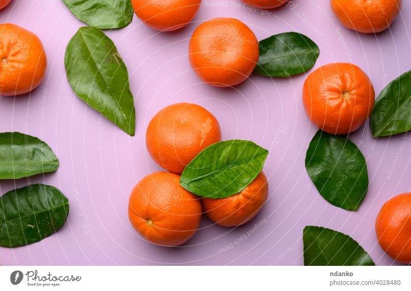 ripe tangerines and green leaves on a purple background flat mandarine set group orange food vitamin freshness whole raw closeup leaf tropical citrus color
