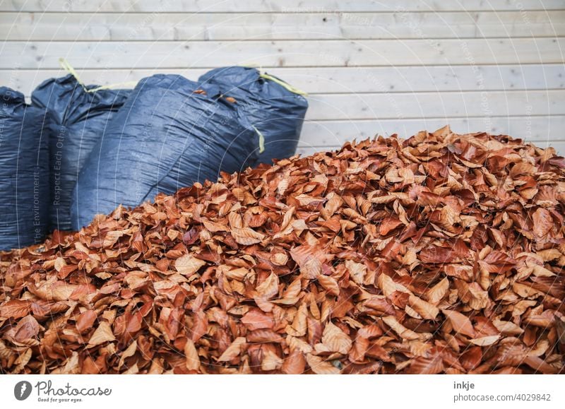 spring cleaning Colour photo Exterior shot Deserted heap of leaves Autumn Spring Gardening foliage withered refuse sacks Brown Blue Copy Space Nature